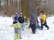 Výprava do zimního lesa